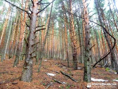 Chorro o Chorrera de San Mamés; revistas senderismo; sendero; excursiones sierra de madrid;sierra d